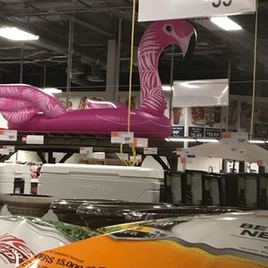 Meet your Posher, Jeanine